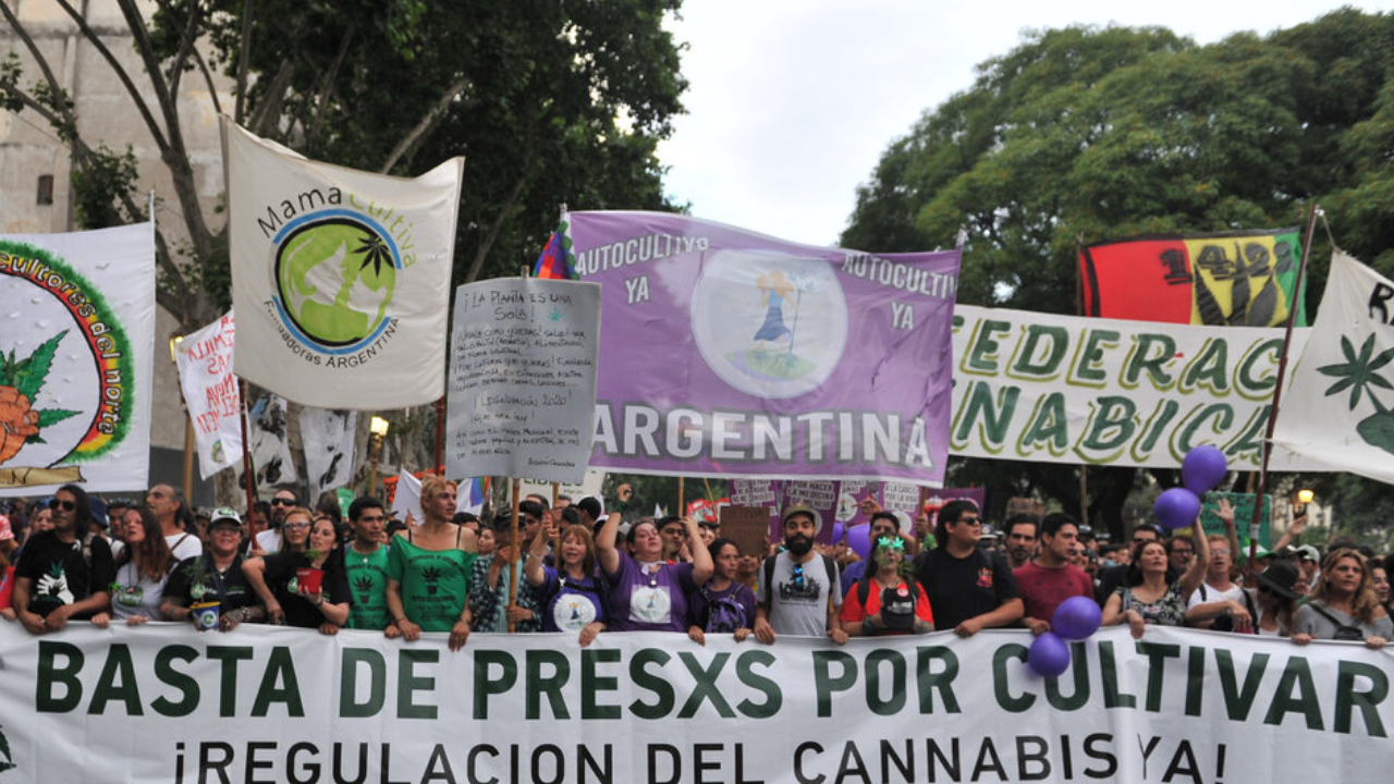 Marcha Nacional de la Marihuana: “Basta de presos por cultivar”